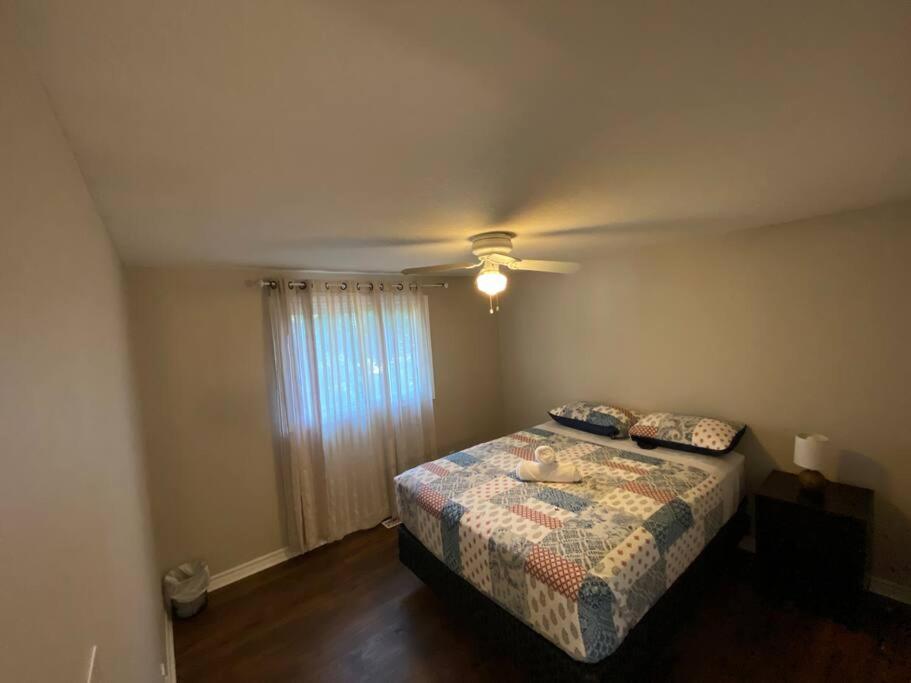 Kingston Comfort Hub מראה חיצוני תמונה